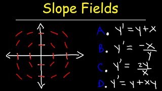 Slope Fields  Calculus [upl. by Yurt535]