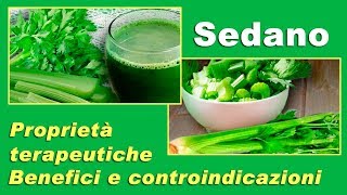 Sedano benefici proprietà terapeutiche e controindicazioni [upl. by Southworth]