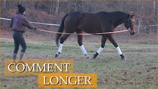 LONGER SON CHEVAL  Comment faire [upl. by Atikir]