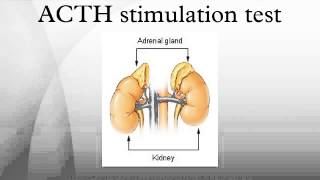 ACTH stimulation test [upl. by Alexandros]