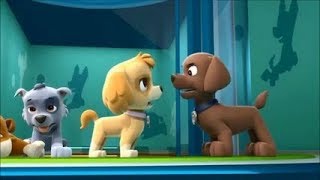 Paw Patrol Mission Paw  Rescue Royal Crown  Nickelodeon NickJr Kids Fun Game Video [upl. by Elockcin13]