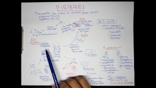 FIEBRE Fisiopatología [upl. by Hosea]