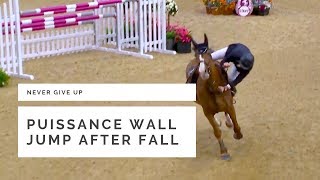 Puissance wall jump after fall Dominic Webb at HOYS 2018 [upl. by Edithe952]