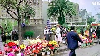 Johannesburg in 1962 60FPS HQ South Africa in the 1960s  British Pathé [upl. by Silloc]