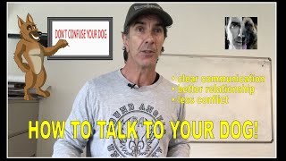 How to TALK to YOUR DOG  Robert Cabral  Dog Training Video [upl. by Anawaj]