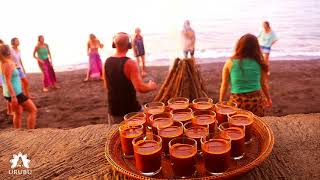 Ecstatic Dance Temple™ Facilitator Training with Seth Newman [upl. by Inanak]