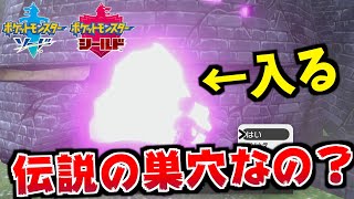 【驚愕】ずっと何もいなかった謎の巣穴にポケモンを出現させる方法！【ポケモン剣盾ポケモンソードシールド】 [upl. by Justen781]