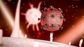 A potential cure for HIV [upl. by Odnolor]