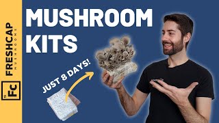 Grow Mushrooms In Just 8 DAYS Mushroom Growing Kit Review anyone can do this at home [upl. by Doris]