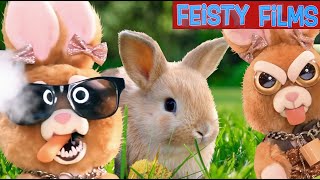 Bunnies Are Funny Feisty Compilation [upl. by Platon893]