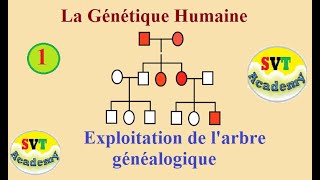 1 La génétique humaine  Exploitation de larbre généalogique  SVT BAC [upl. by Campman]