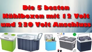 Die 5 besten elektrischen Kühlboxen mit 12 Volt und 230 Volt Anschluss Test [upl. by Ogirdor]