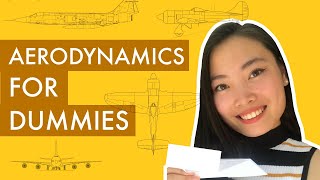 Intro to Aerodynamics How Do Airplanes Fly [upl. by Arimlede]