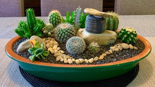 Cacti and Succulents Arrangement [upl. by Gianna]