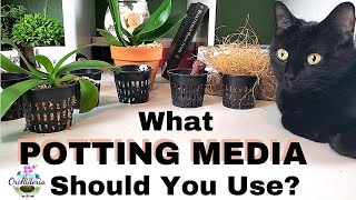 How To Choose The Right Potting Medium for Your Orchid [upl. by Nelan]