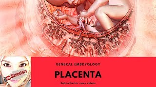 Medical embryology  Placenta [upl. by Amri138]