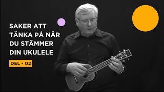 TIPS  SAKER ATT TÄNKA PÅ NÄR DU STÄMMER DIN UKULELE Dstämma  DEL 02 [upl. by Memberg]