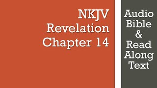 Revelation 14  NKJV  Audio Bible amp Text [upl. by Eseerahs541]