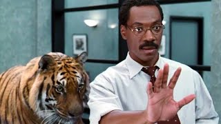 Dr Dolittle 1998 Movie Explained  Movie Explanation [upl. by Aciras]