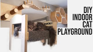 Ultimate DIY Indoor Cat Playground You Cant Miss [upl. by Aistek202]