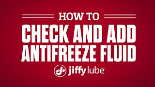 How to Check and Add Antifreeze Fluid [upl. by Adnawt]