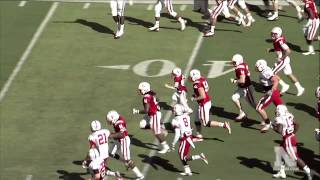 Jack Hoffman with a 69 yard touchdown in the 2013 Nebraska Spring Game [upl. by O'Driscoll472]