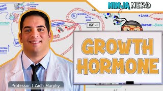 Endocrinology  Growth Hormone [upl. by Husha]