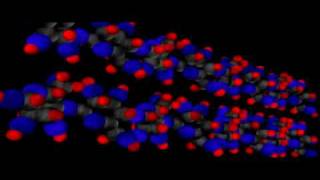 Organic Molecules Carbohydrates  Cell Biology  Biochemistry [upl. by Hinson]