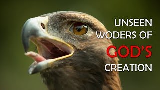 Unseen Wonders of Gods Creation [upl. by Fauch]