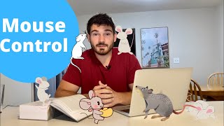 How To Get Rid of Mice  EVERYTHING You NEED to Know [upl. by Iverson]