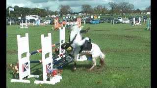 show jumping falls fails and flings [upl. by Seedman]