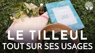 Tilleul tout sur ses usages [upl. by Haggi]