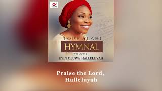 TOPE ALABI HYMNAL  EYIN OLUWA HALLELUYAH [upl. by Notniv]