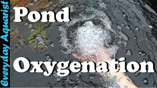 How To Aerate amp Oxygenate Your Pond [upl. by Yaniv578]