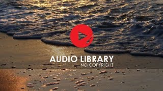 Calm Seashore  No Copyright Sound Effects  Audio Library [upl. by Adaven382]