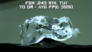 243 Winchester TUI™ vs Clear Ballistics FBI Gel [upl. by Johm]