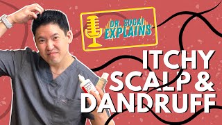 Dr Sugai Explains Itchy Scalp and Dandruff What Shampoos to Consider [upl. by Hayott]