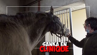 ON PART VOIR SANKA EN CLINIQUE amp SAFIR SE PREND POUR UN ETALON [upl. by Croteau]