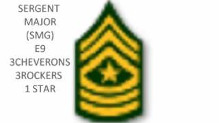 ARMY ENLISTED RANKS [upl. by Sheply37]