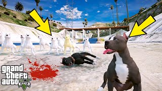 YAVRU PİTBULL AMCASI TYSONU 10 VAHŞİ SOKAK KÖPEĞİNDEN KURTARIYOR  GTA 5 [upl. by Roberta]