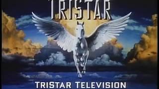 Sternin Fraser Ink Inc Highschool Sweethearts TriStar Television 1997 [upl. by Jariv]