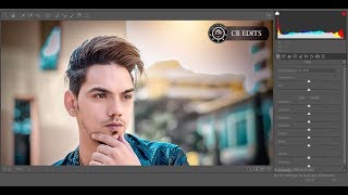 How to enable  download  install camera raw filter in photoshop cs6 [upl. by Enitsyrk]