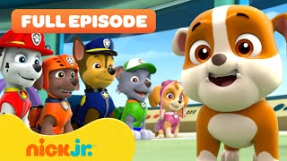 Rubble Joins the PAW Patrol and the Pups Save a Walrus  FULL EPISODES  Nick Jr [upl. by Onileva]