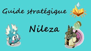 Dofus Nileza  Guide stratégique [upl. by Bove]