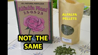 ALFALFA Pellets For Organic Fertilizer REAL TRUTH Reveal [upl. by Vidal]