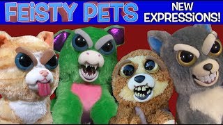 Feisty Pets New Expressions [upl. by Idnarb]