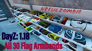 DayZ All 30 New Armbands [upl. by Annohsak]