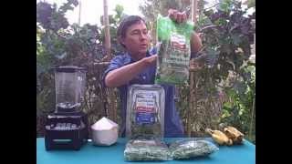 Best Tasting Green Smoothie using 3 Ingredients [upl. by Biggs]