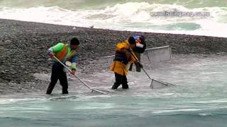 Whitebait Scoop Netting Rakaia River Mouth Fishing [upl. by Shewmaker700]