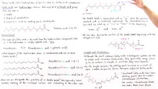 Fatty Acids [upl. by Jacobina]